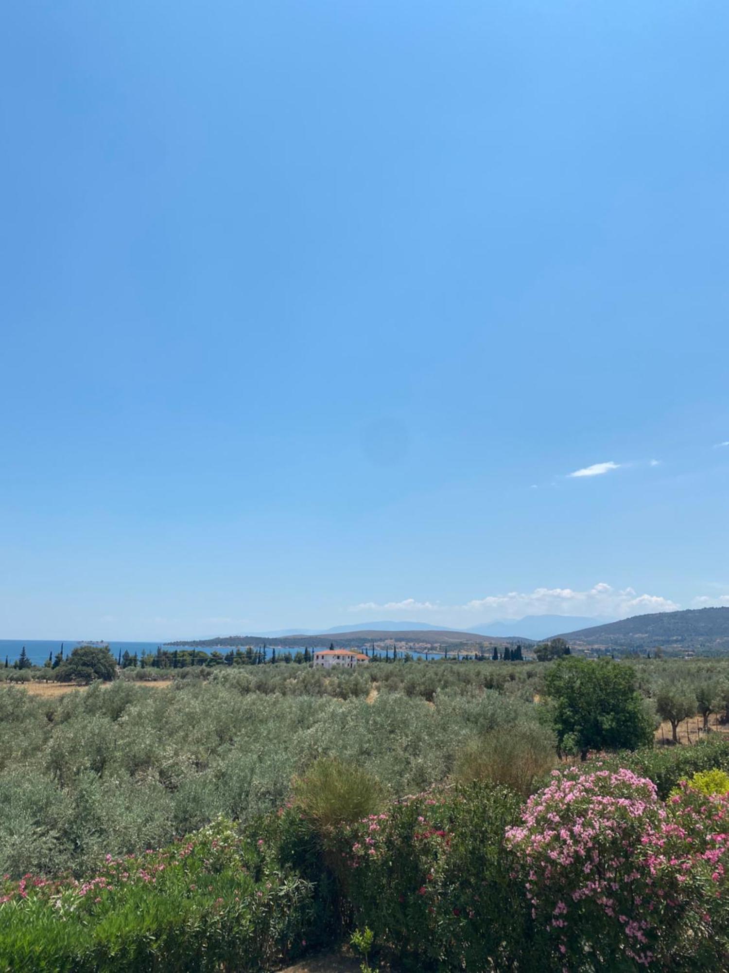 Georges Villa Galaxidi, Family, Pool And Garden Bagian luar foto