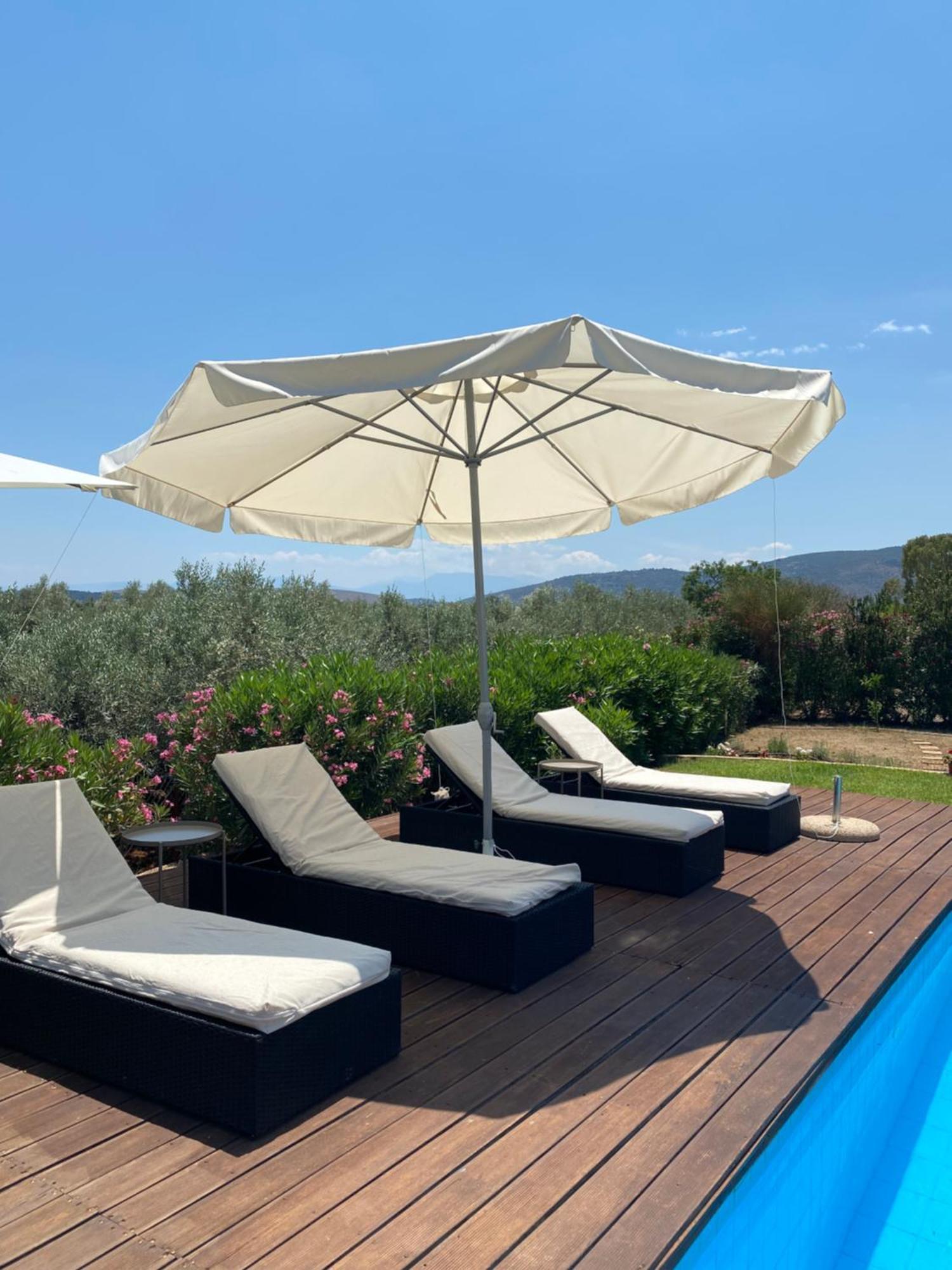 Georges Villa Galaxidi, Family, Pool And Garden Bagian luar foto