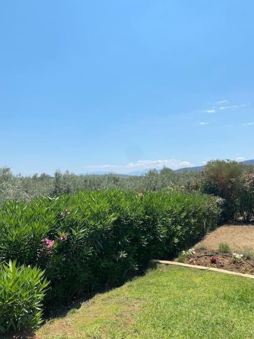 Georges Villa Galaxidi, Family, Pool And Garden Bagian luar foto