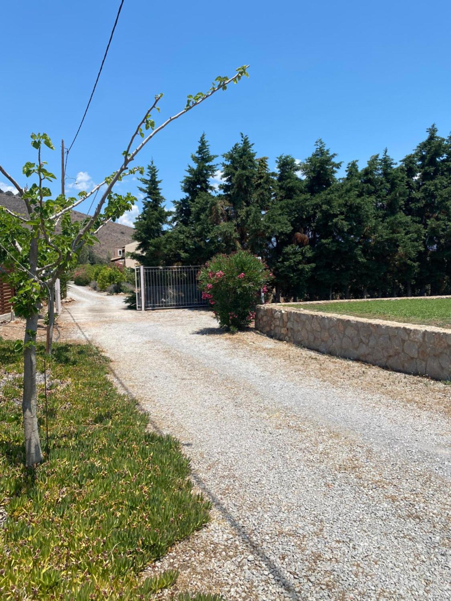 Georges Villa Galaxidi, Family, Pool And Garden Bagian luar foto